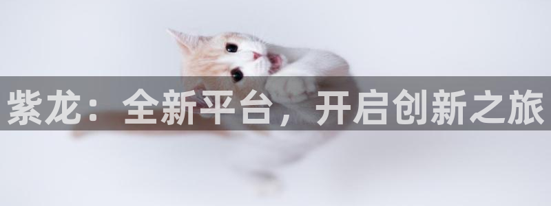 usdt-trc20怎么用：紫龙：全新平台，开启创新之旅