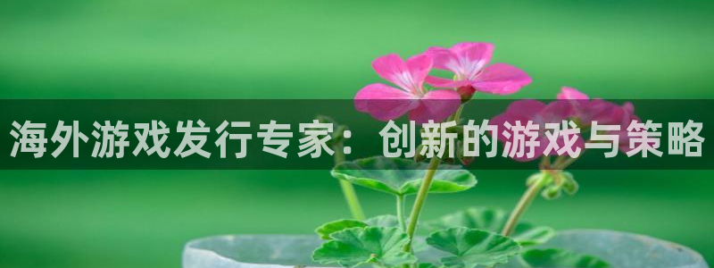 usdt交易冻结：海外游戏发行专家：创新的游戏与策略