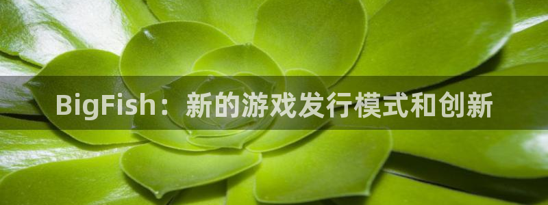 usdt分为哪几种：BigFish：新的游戏发行模式和创新