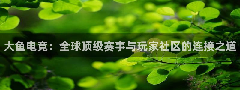 usdt提到钱包
